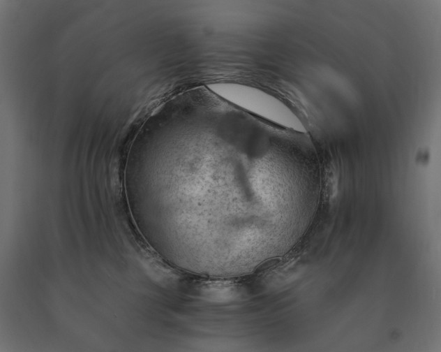 X0000090780377200708031720
