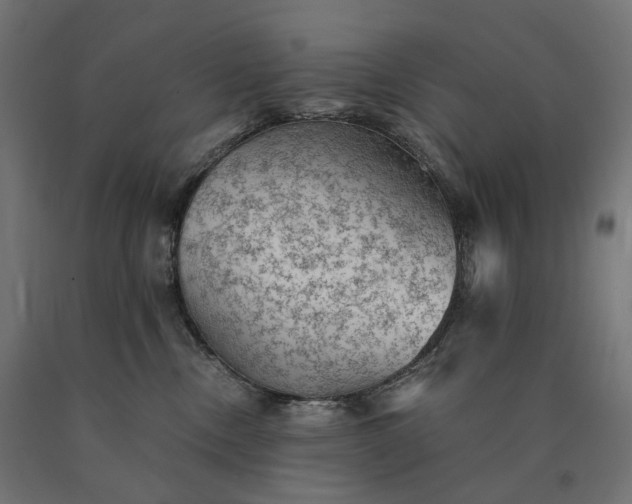 X0000090780378200708031720