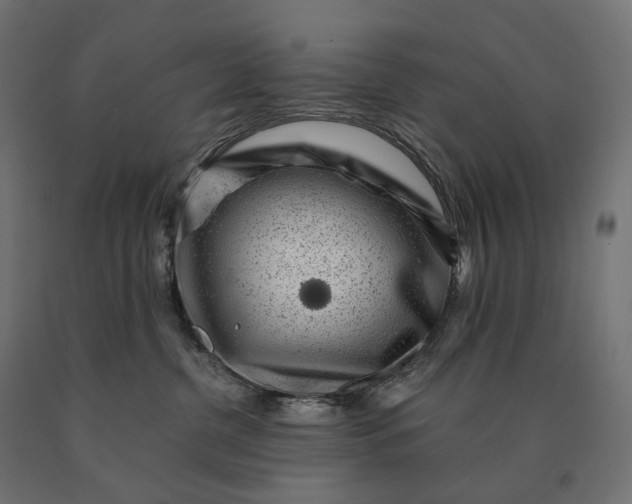 X0000090780380200708031720