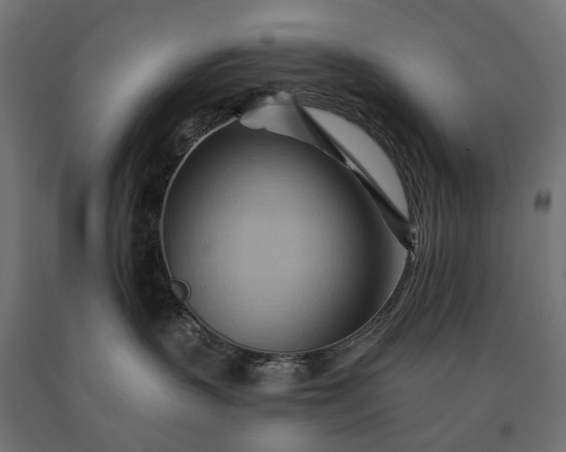 X0000090780383200708031720
