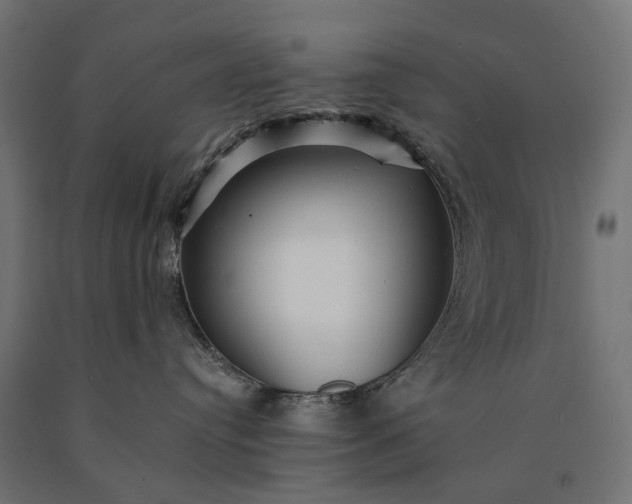 X0000090780384200708031720