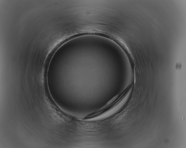 X0000090780387200708031720