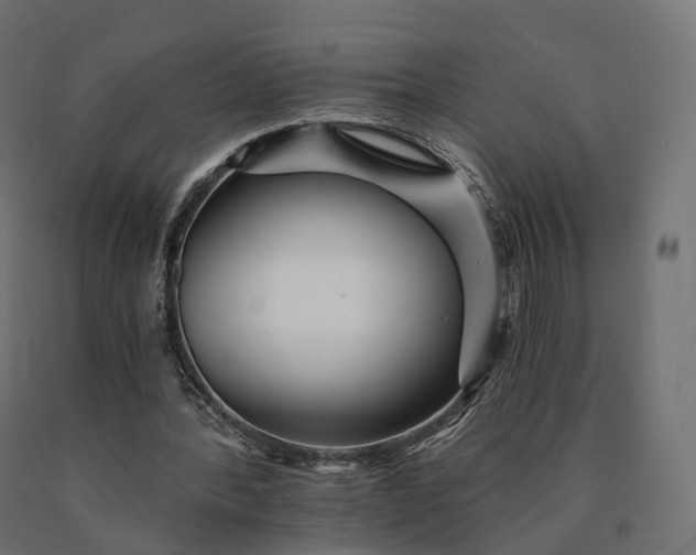X0000090780388200708031720