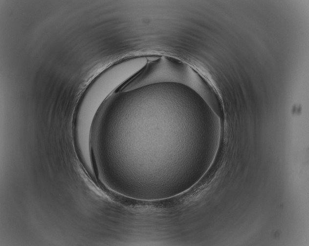 X0000090780389200708031719