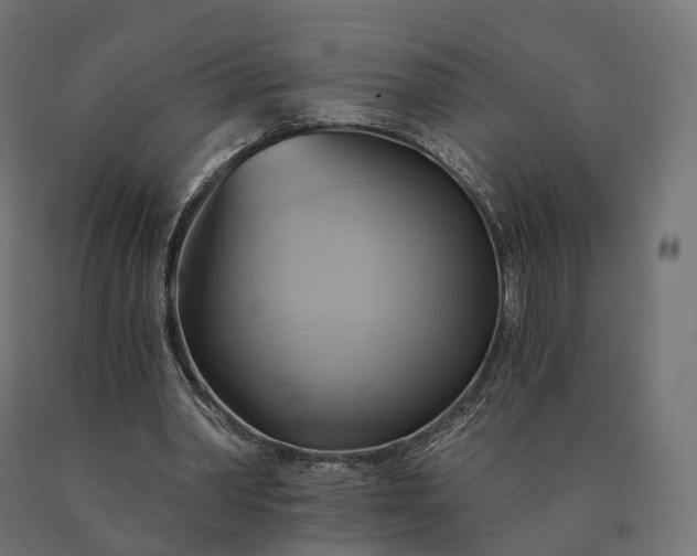 X0000090780390200708031719