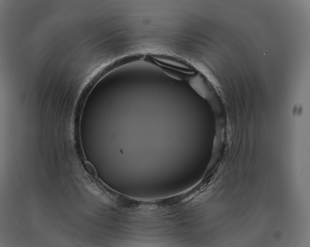 X0000090780391200708031719