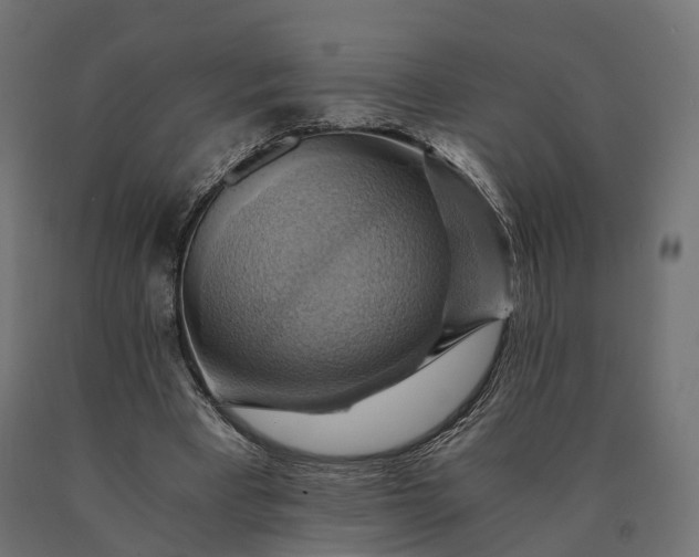 X0000090780393200708031719