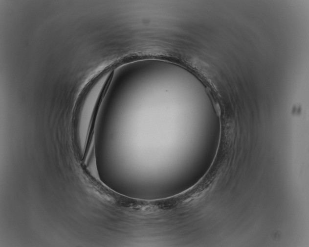 X0000090780395200708031719