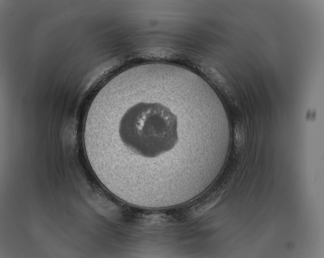 X0000090780396200708031719