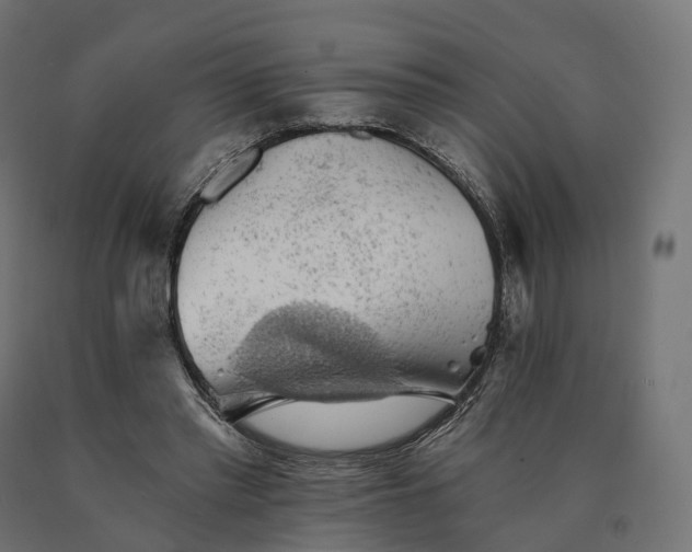 X0000090780397200708031719