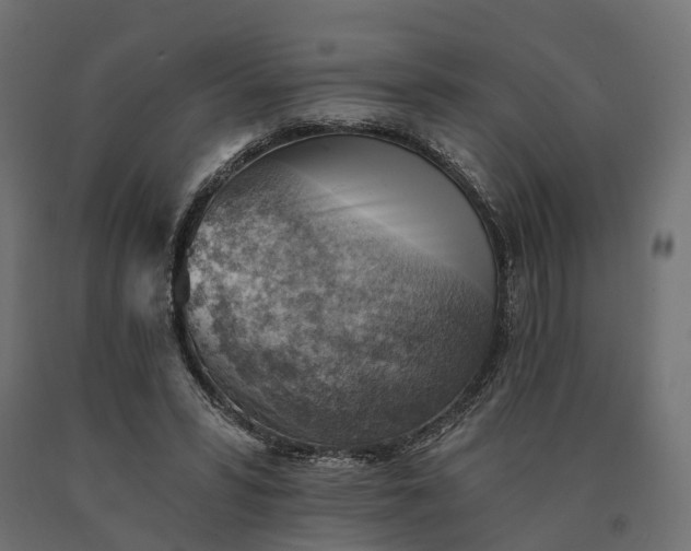 X0000090780399200708031719
