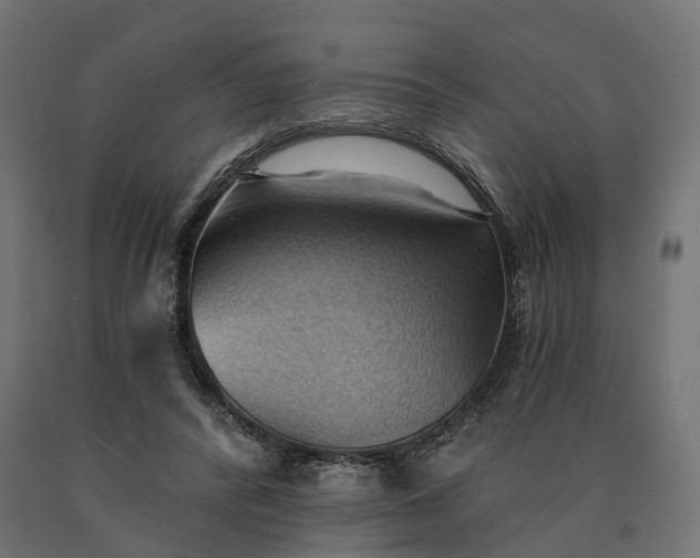 X0000090780400200708031719