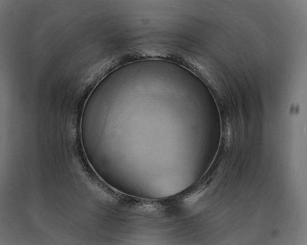 X0000090780402200708031719
