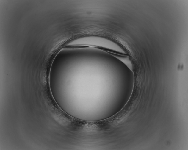 X0000090780403200708031719