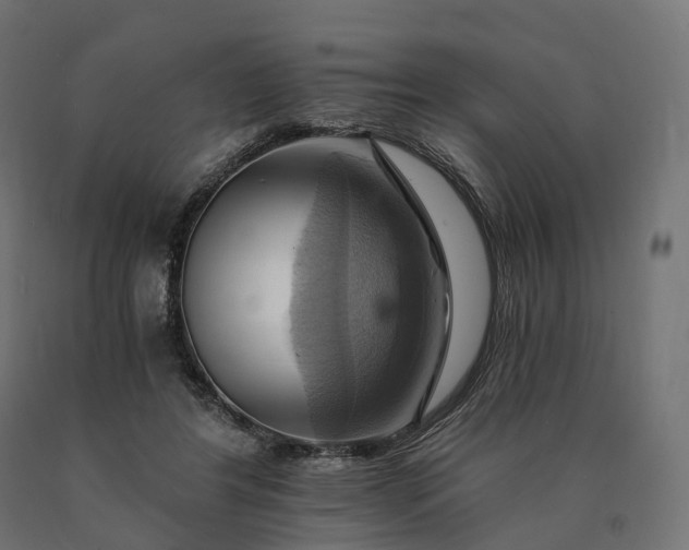 X0000090780404200708031719