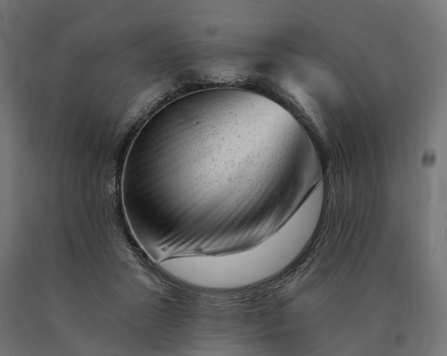 X0000090780407200708031719
