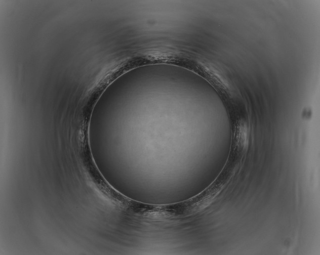 X0000090780408200708031719