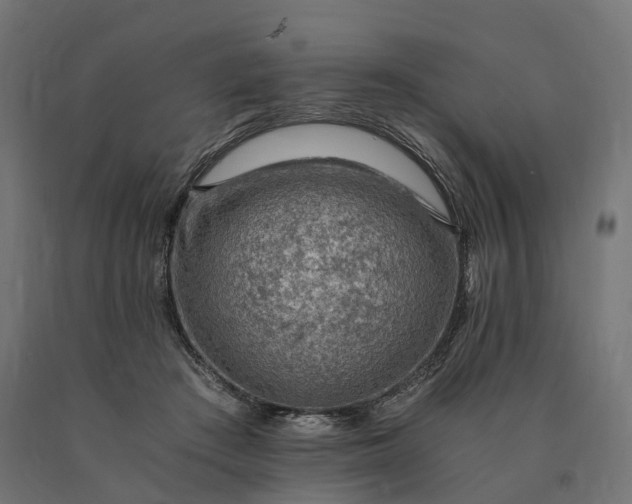 X0000090780409200708031719