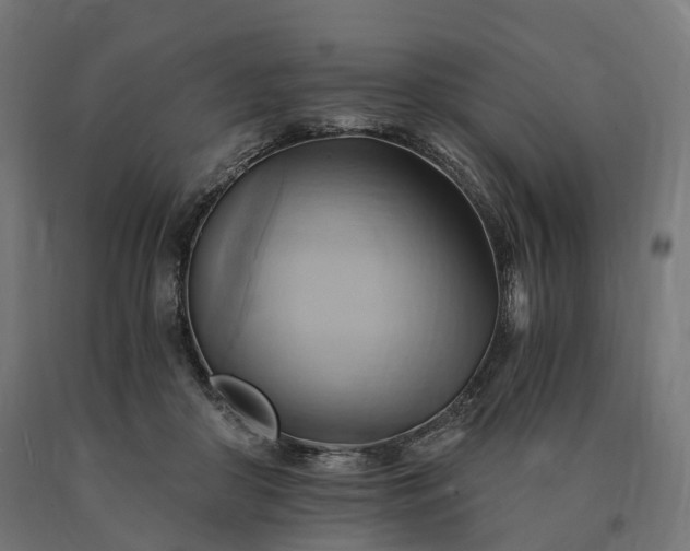 X0000090780410200708031719
