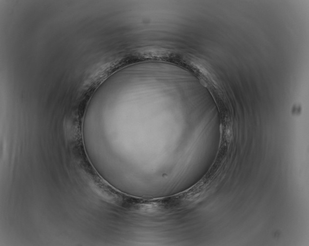 X0000090780411200708031719
