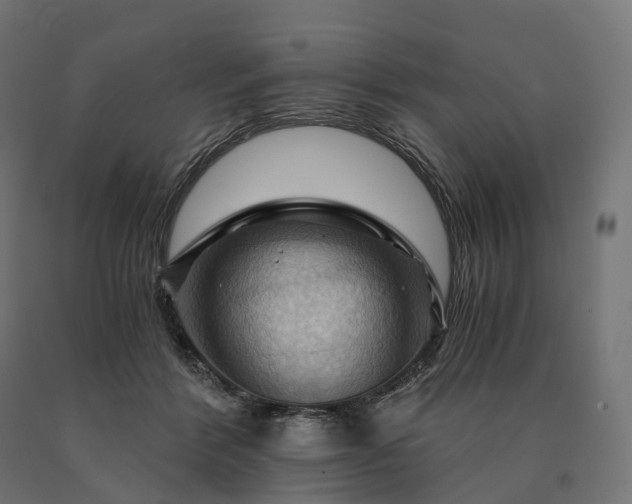X0000090780412200708031719