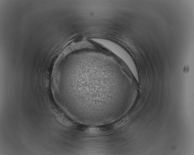 X0000090780413200708031719