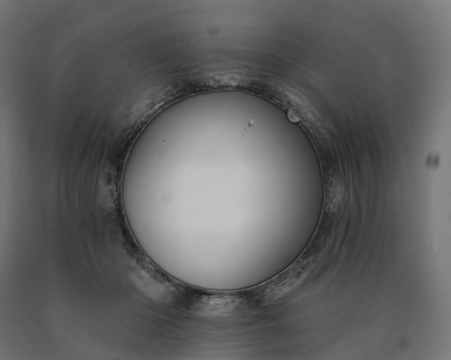 X0000090780414200708031719