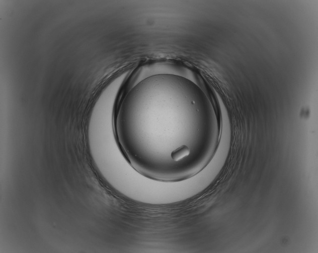 X0000090780415200708031719