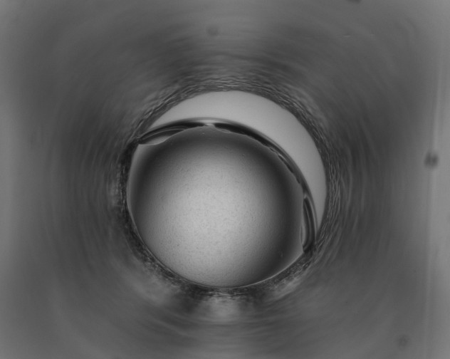 X0000090780416200708031719