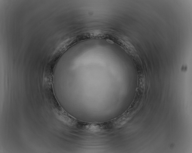 X0000090780419200708031719