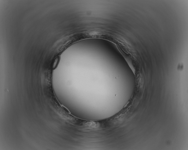 X0000090780421200708031719