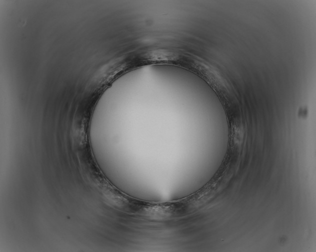 X0000090780422200708031719