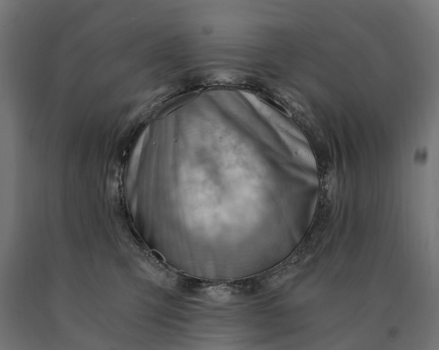 X0000090780423200708031719