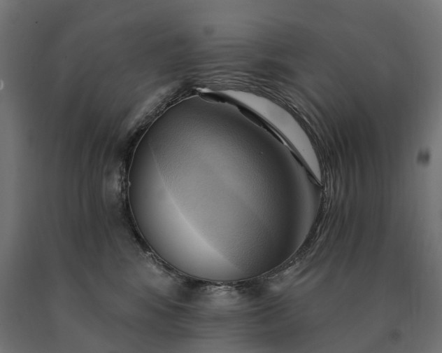X0000090780424200708031719