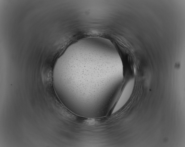 X0000090780425200708031719