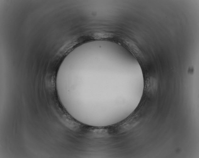 X0000090780426200708031719
