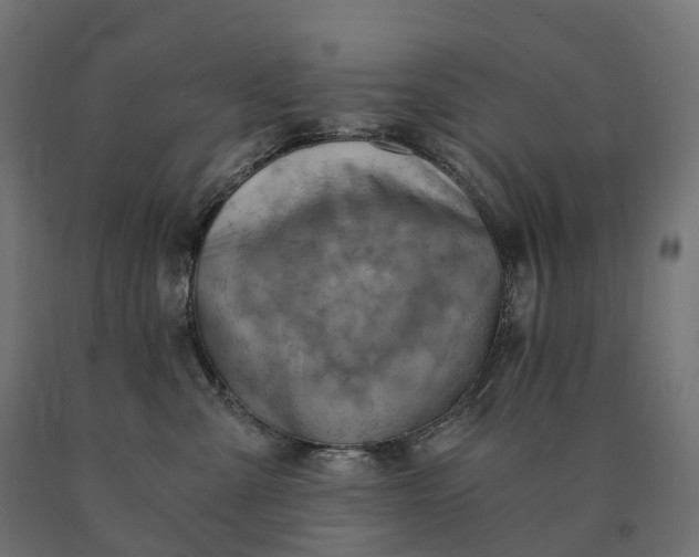 X0000090780427200708031719