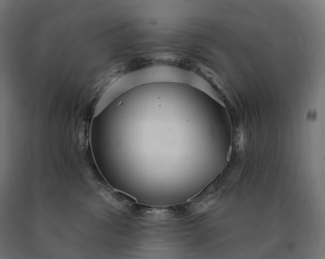 X0000090780428200708031719