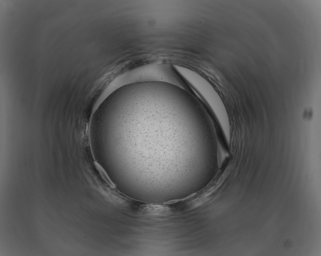 X0000090780429200708031719