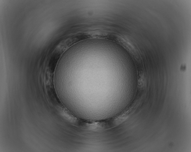 X0000090780430200708031719