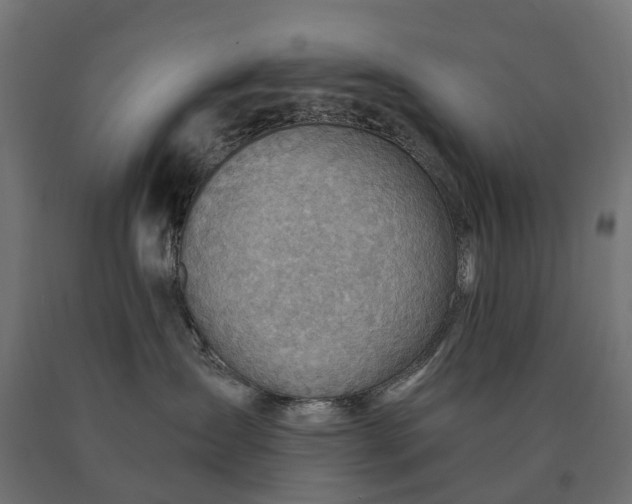 X0000090780431200708031719