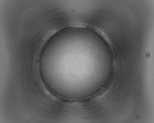 X0000090780433200708031718