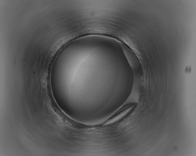 X0000090780434200708031718