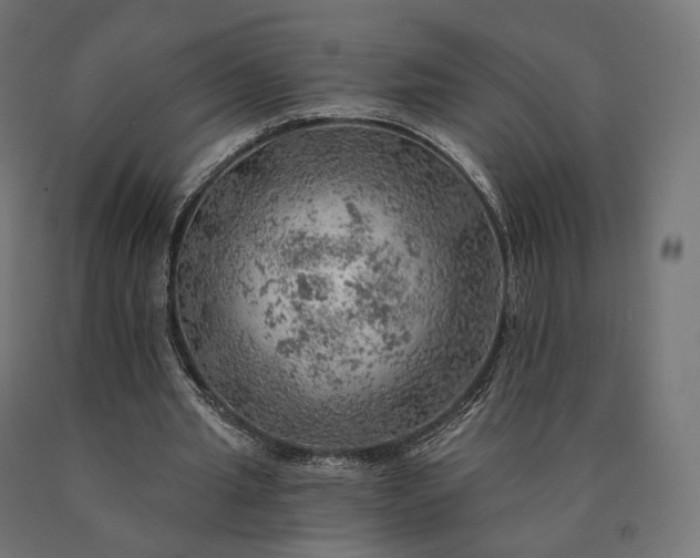 X0000090780437200708031718