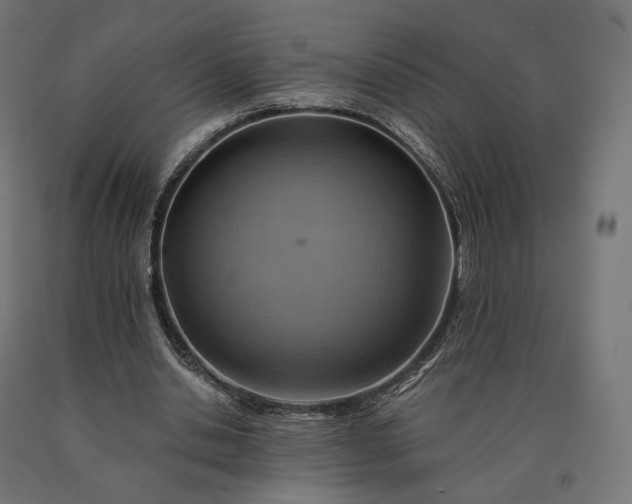 X0000090780438200708031718