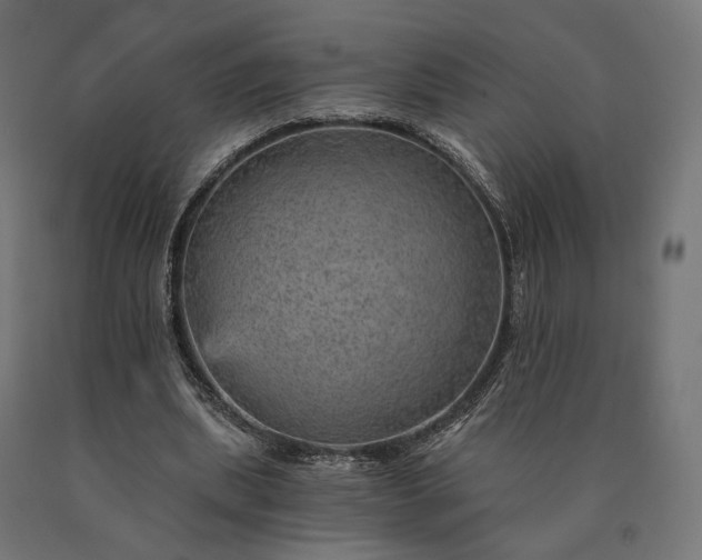 X0000090780439200708031718