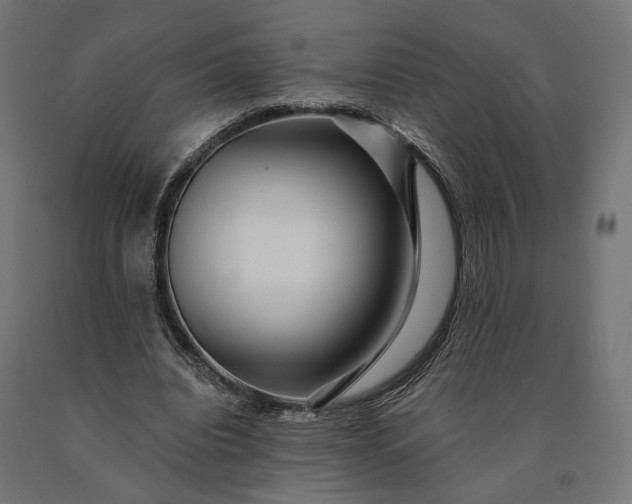 X0000090780440200708031718