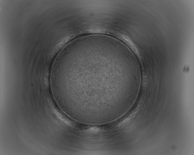 X0000090780441200708031718