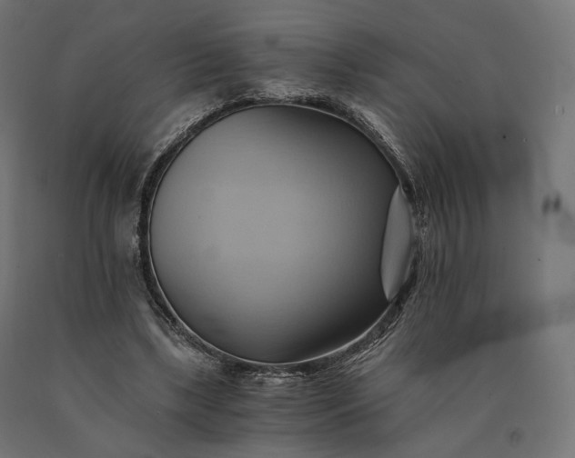 X0000090780443200708031718