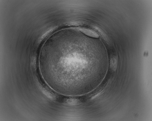 X0000090780444200708031718